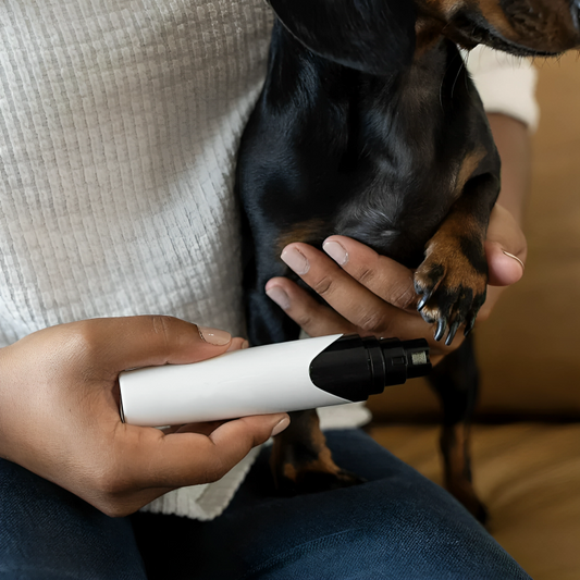 Pet Nail Grinder